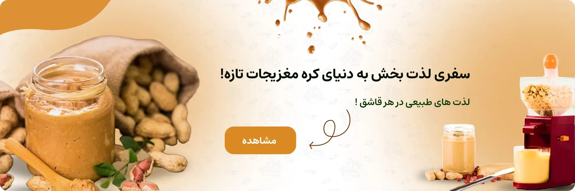 کره مغزیجات